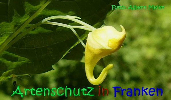 Copyright AiS Albert Meier Bild zum Eintrag (67280-160)
