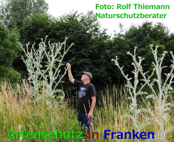 Copyright AiF Rolf Thiemann Bild zum Eintrag (75952-160)