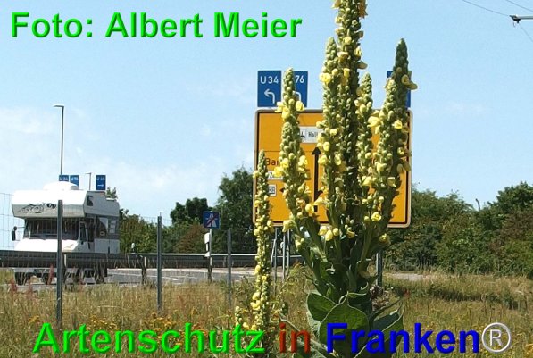 Copyright AiF - Albert Meier Bild zum Eintrag (76388-160)