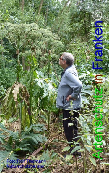 Copyright AiF Rolf Thiemann Bild zum Eintrag (76862-160)