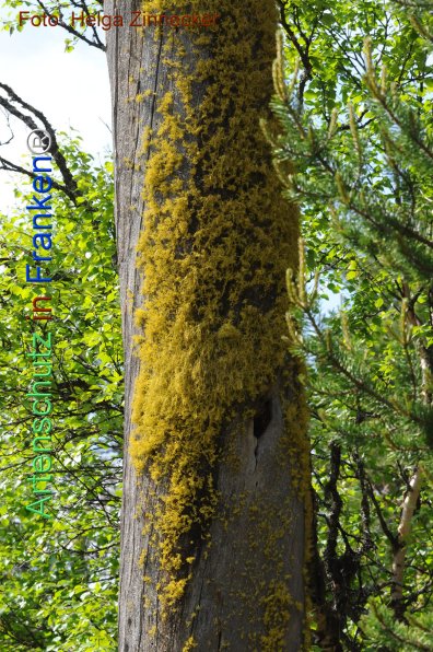 Copyright AiF - Helga Zinnecker Bild zum Eintrag (81139-160)