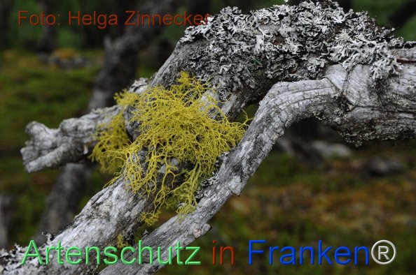 Copyright AiF - Helga Zinnecker Bild zum Eintrag (81142-160)