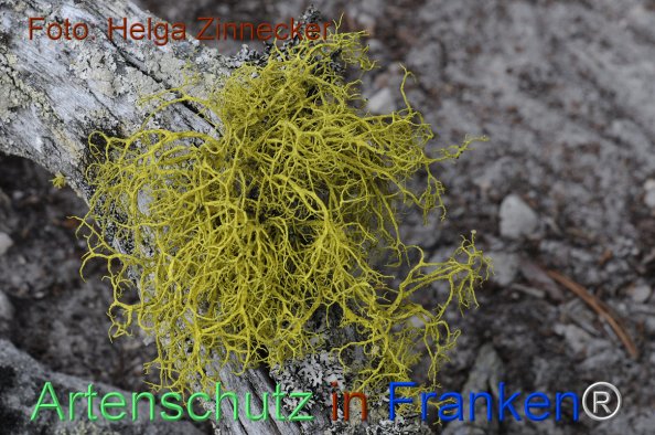 Copyright AiF - Helga Zinnecker Bild zum Eintrag (81144-160)