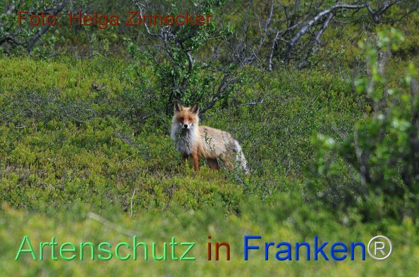 Copyright AiF - Helga Zinnecker Bild zum Eintrag (81146-160)