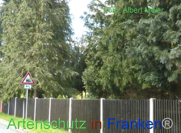 Copyright AiF - Albert Meier Bild zum Eintrag (82552-160)