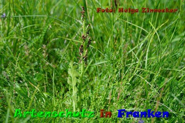 Copyright AiF - Helga Zinnecker Bild zum Eintrag (85531-160)