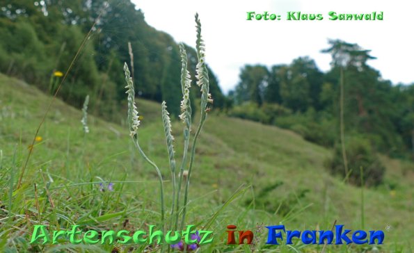 Copyright AiF - Klaus Sanwald Bild zum Eintrag (86509-160)
