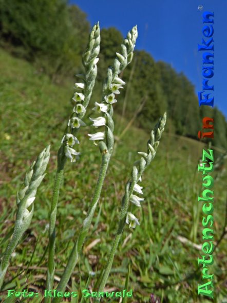 Copyright AiF - Klaus Sanwald Bild zum Eintrag (86510-160)