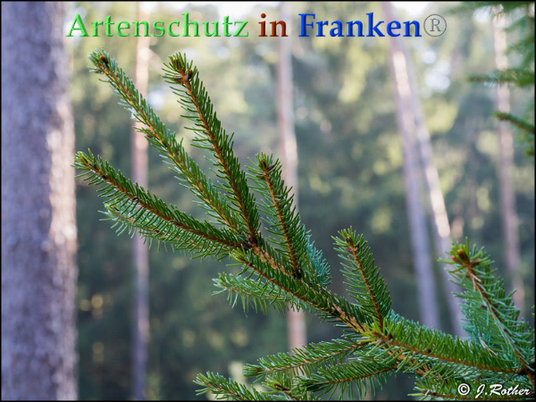 Copyright AiF Johannes Rother Bild zum Eintrag (89963-160)