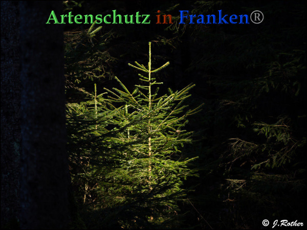 Copyright AiF Johannes Rother Bild zum Eintrag (89966-160)