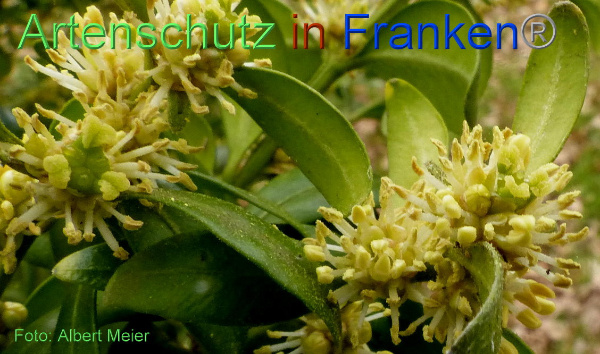 Copyright AiF - Albert Meier Bild zum Eintrag (90675-160)