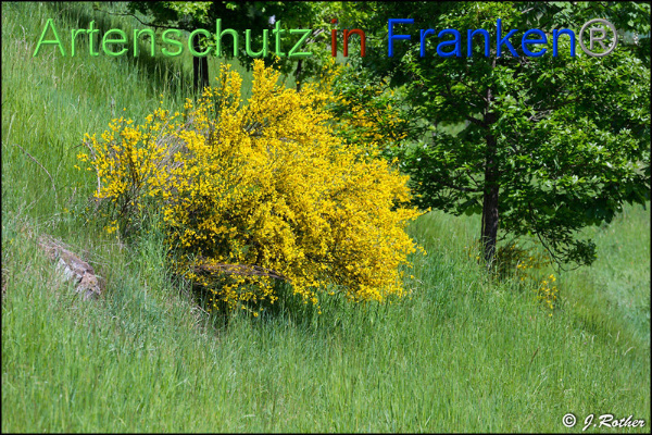 Copyright AiF Johannes Rother Bild zum Eintrag (92581-160)