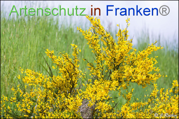 Copyright AiF Johannes Rother Bild zum Eintrag (92582-160)