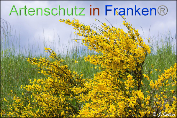 Copyright AiF Johannes Rother Bild zum Eintrag (92583-160)