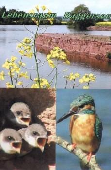 Copyright AiS / R.Mauker Bild zum Eintrag (26400-160)