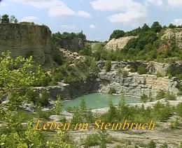 Copyright AiS / R.Mauker Bild zum Eintrag (26402-160)