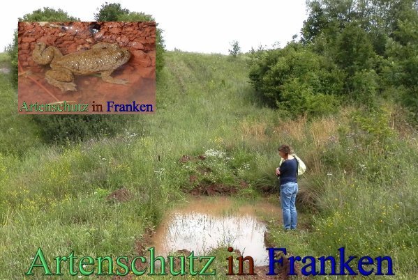 Copyright AiS Albert Meier Bild zum Eintrag (63045-160)