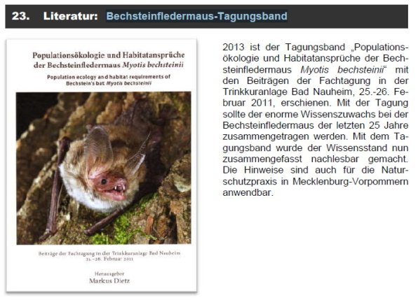 Copyright AiS Fledermausschutz M-V Bild zum Eintrag (69937-160)