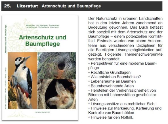 Copyright AiS Fledermausschutz M-V Bild zum Eintrag (69943-160)