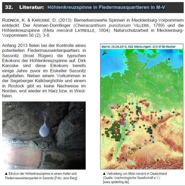 Copyright AiS Fledermausschutz M-V Bild zum Eintrag (69949-160)