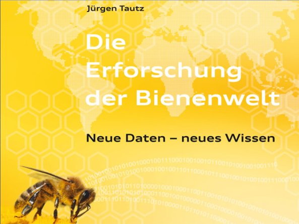 Copyright AiF Audi Stiftung für Umwelt Bild zum Eintrag (71854-160)