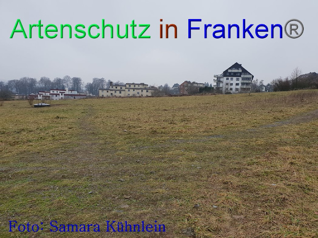 © Artenschutz in Franken® Bild zum Eintrag (1003095-160)