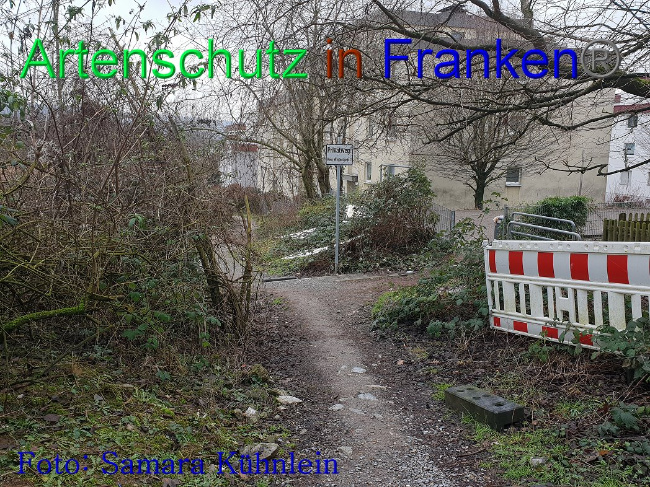 © Artenschutz in Franken® Bild zum Eintrag (1003102-160)