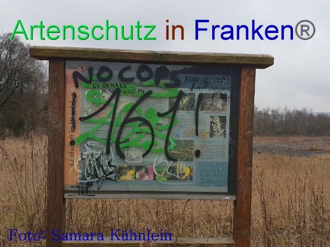 © Artenschutz in Franken® Bild zum Eintrag (1003123-160)