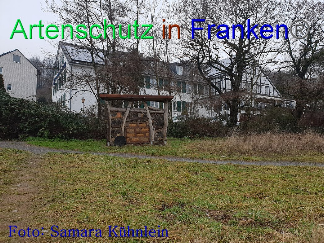 © Artenschutz in Franken® Bild zum Eintrag (1003128-160)