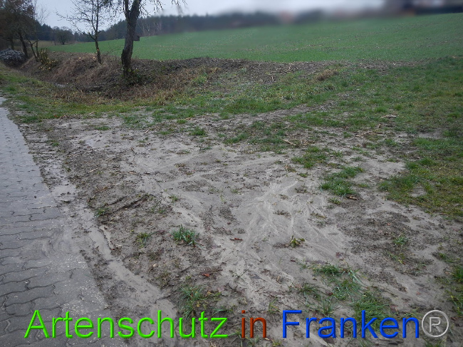 © Artenschutz in Franken® Bild zum Eintrag (1003627-160)