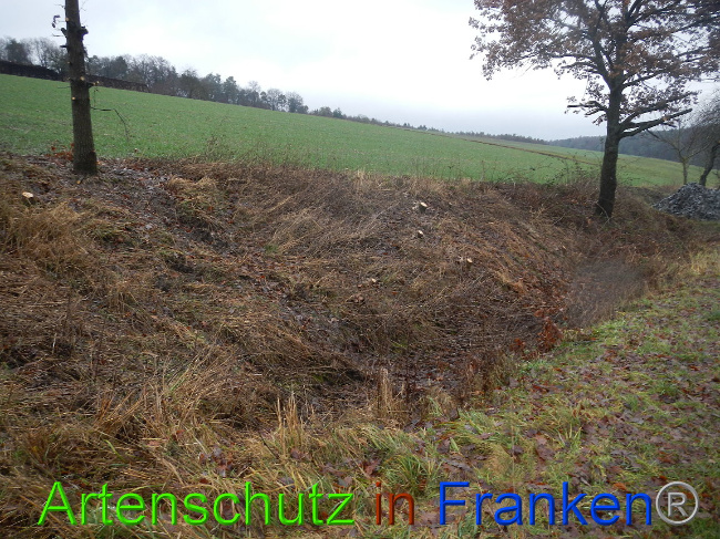© Artenschutz in Franken® Bild zum Eintrag (1003651-160)