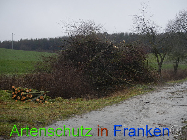 Bild zum Eintrag (1003658-160)