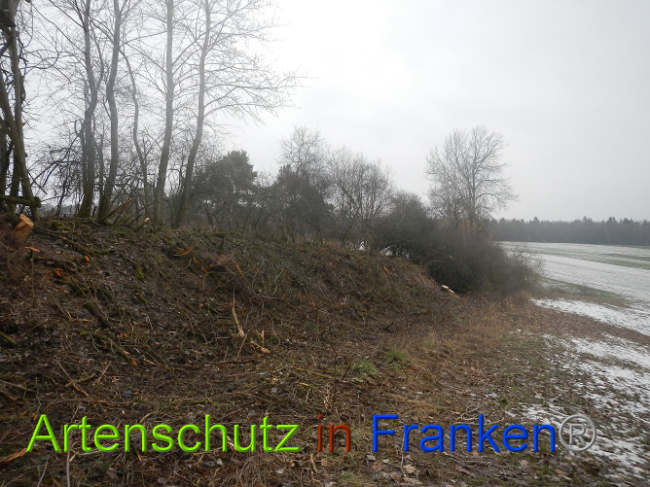 Bild zum Eintrag (1003672-160)