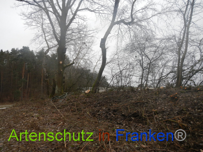 Bild zum Eintrag (1003675-160)