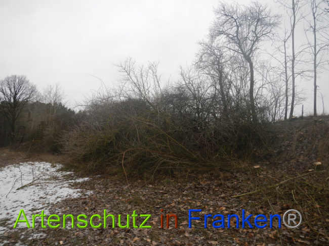 Bild zum Eintrag (1003679-160)