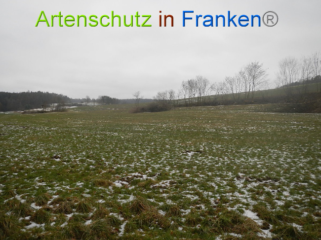 Bild zum Eintrag (1003681-160)