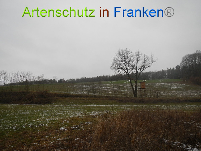 Bild zum Eintrag (1003685-160)