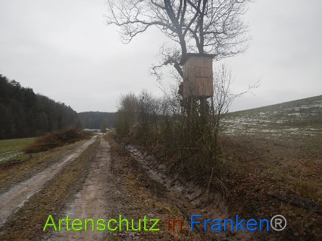 Bild zum Eintrag (1003687-160)