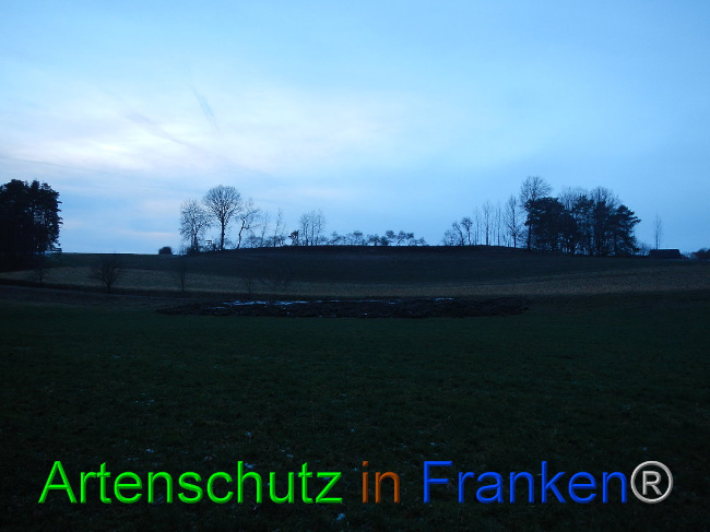 © Artenschutz in Franken® Bild zum Eintrag (1003722-160)
