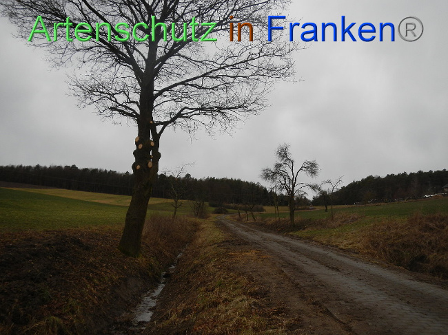 Bild zum Eintrag (1003835-160)