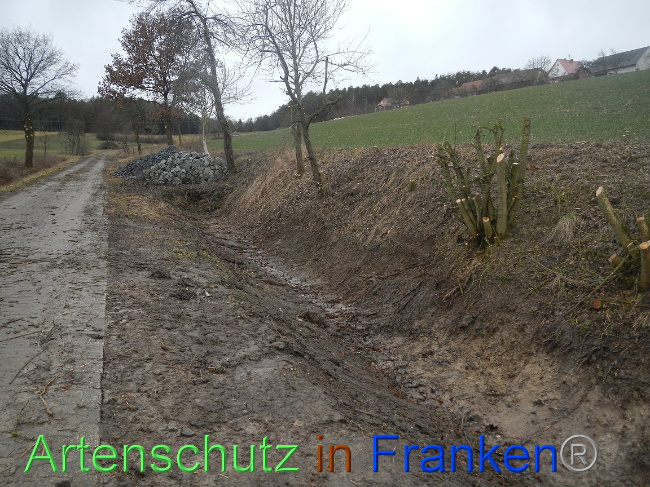 Bild zum Eintrag (1003839-160)