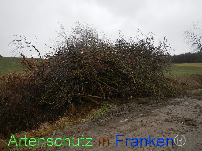 Bild zum Eintrag (1003841-160)