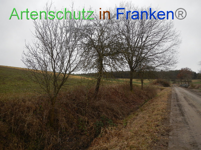 Bild zum Eintrag (1003848-160)