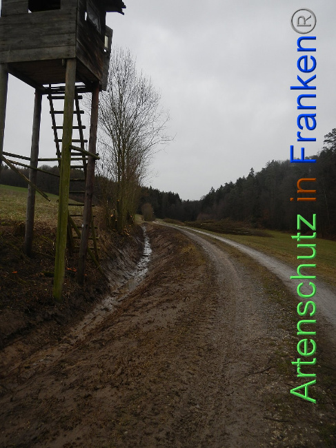 © Artenschutz in Franken® Bild zum Eintrag (1003880-160)