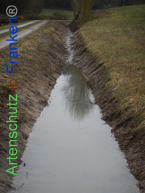 © Artenschutz in Franken® Bild zum Eintrag (1003886-160)