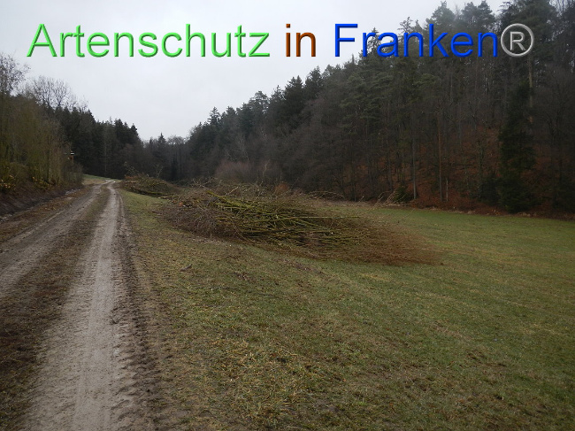 © Artenschutz in Franken® Bild zum Eintrag (1003906-160)