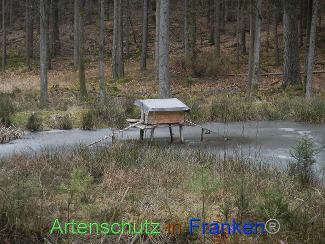 © Artenschutz in Franken® Bild zum Eintrag (1004209-160)
