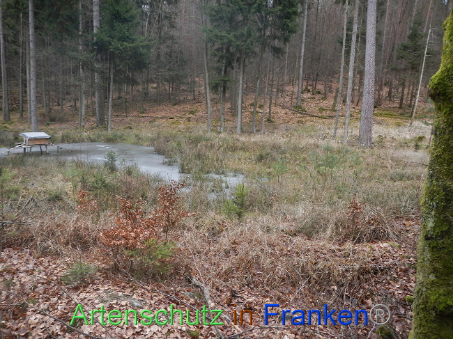 © Artenschutz in Franken® Bild zum Eintrag (1004213-160)