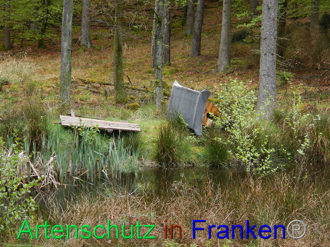 © Artenschutz in Franken® Bild zum Eintrag (1006018-160)