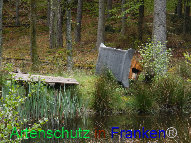 © Artenschutz in Franken® Bild zum Eintrag (1006023-160)